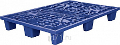 Пластиковый поддон SD 1208 L Цветной